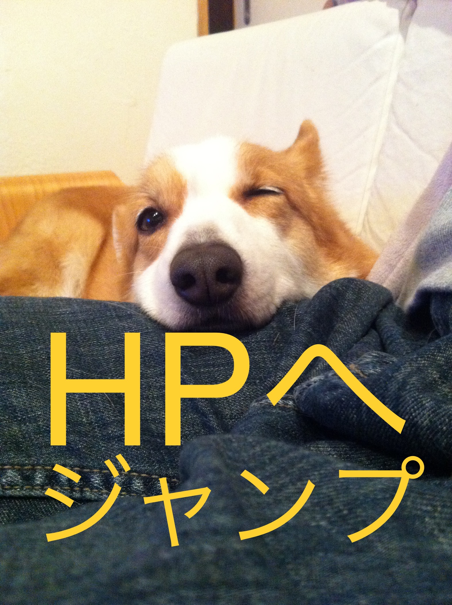 オフィシャルサイト